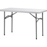Table rectangulaire 120/60 cm